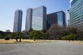 東京に春、来てます！ 都心のオアシス「浜離宮恩賜庭園」では今、梅と菜の花が見ごろを迎える【東京都・中央区】の画像008
