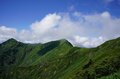 まだまだ夏は続く！ もはやアウトドアには欠かせない【ハイコントラストレンズ】サングラスで視界はいつでも鮮やかの画像002