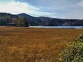 「金色の尾瀬」絶景ハイキング！  沼山峠・大江湿原から周回「尾瀬沼2時間30分コース」 秋の「草紅葉＆燧ヶ岳」レポの画像002
