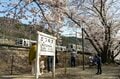 鉄道マニアじゃなくても楽しめる！ 「電車と桜の組み合わせに夢中」車窓から見える絶景スポットはお花見の名所だった！  2022年【山梨県・勝沼ぶどう郷駅】の画像003