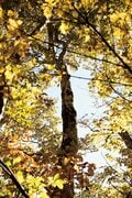 【富士山の次に登る山 vol.4】登山の魅力はムゲン大「山頂部に池塘が広がる山」 苗場山・平ヶ岳・朝日岳・飯豊連峰の画像002