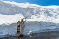 【山スキー】残雪に覆われたブナの森が芽吹きだす 「信越トレイルの名峰、鍋倉山の春を滑る」 長野県飯山市・関田山脈 2025年の画像004