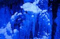 「雪の青森って、素敵だね！」 白銀の奥入瀬渓流をスノーシューで散策し、冬だけの大自然アート「氷瀑」を鑑賞する【「奥入瀬渓流ホテル」滞在型満喫プラン】の画像019