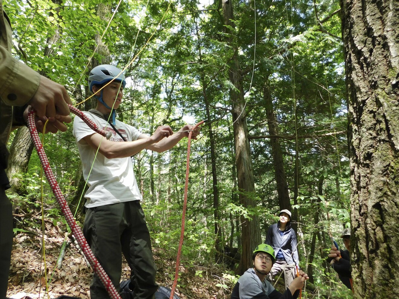 画像・写真:「ロープワークでの木登り」体験! 先生と道具のおかげ? 意外と簡単でした “森と本気で遊ぶ”2日間【後編】長野県伊那市【合計13枚 Bild & Inspiration Foto zu 画像・写真:「ロープワークでの木登り」体験! 先生と道具のおかげ? 意外と簡単でした “森と本気で遊ぶ”2日間【後編】長野県伊那市【合計13枚