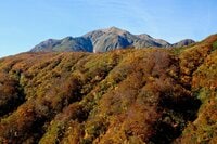 百名山「越後駒ヶ岳」の紅葉はどこが見頃？  10月中旬の枝折峠ルートを歩く