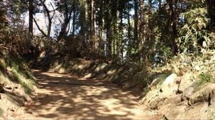 首都圏日帰り “駅からハイキング” に最適！  飯能アルプス「天覧山＆多峯主山」縦走・約2時間歩いた後は「絶品ジビエ」で舌鼓！