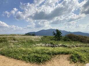 「地上から約マイナス5度」の涼感世界！ ロープウェイで標高959m 奈良・大和葛城山への「らくらく登山」