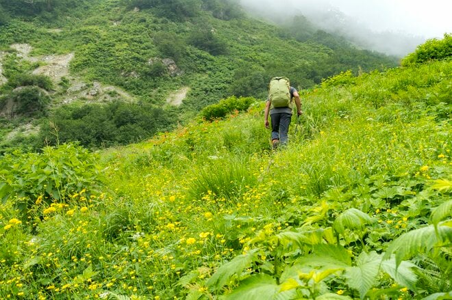 白馬連峰の稜線に建つ天空の山小屋「天狗山荘」 “360度の絶景” と “高山植物の希少種ウルップソウ”  自慢の「天狗鍋」も堪能【長野県白馬村】の画像006