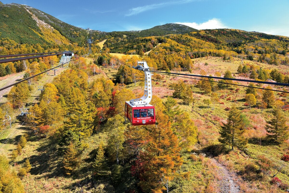 カメラを持って『北八ヶ岳ロープウェイ』へ出かけよう！ かつての火山噴火が作り上げた「希少な自然美」に出会う【特集・紅葉フォトトレッキングガイド  2024】｜アクティビティ｜PR｜BRAVO MOUNTAIN