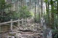 NHK大河ドラマ『光る君へ』 源氏物語ゆかりの地でハイキング！ 低山でも「歩きごたえ＆絶景」とアフター登山「贅沢グルメ」の満足コンボ！ 京都・滋賀「音羽山」レポの画像009