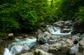 【渓流釣り】夏がやって来た！「そろそろ山のイワナが釣りたいな」 ビギナーフライフィッシャーが一匹釣るまで  長野県｜2026年の画像002