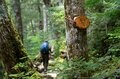 やっぱり “上高地” は泊まりの旅がいい！  明神・徳沢をめぐる『上高地さんぽ』  足を延ばしたからこそ味わえる「絶品グルメ＆優雅な山小屋時間」の画像012