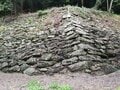「暴れん坊将軍」徳川吉宗が暮らした和歌山城の「おもてなし忍者・動物園」と伝説「和歌山ラーメンの名店」の観光最適ルートとは？の画像001