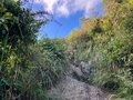 【首都圏近郊】1時間で登れるとは思えない絶景！  房総のマッターホルンこと「伊予ヶ岳」は今からのシーズンがおすすめの画像017