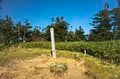 【登山】そこは、まるで天上の楽園！  “秋空を映す水鏡、黄金色の高層湿原になだらかに続く木道”  彩り鮮やかな原生林「苗場山」 長野県｜新潟県 2026年の画像009