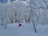 「雪が降るほど楽しい！」豪雪地帯・新潟県のゲレンデパウダーが最高なローカルの“推し“「小規模・穴場」スキー場3選！ 2022シーズン