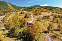 カメラを持って『北八ヶ岳ロープウェイ』へ出かけよう！  かつての火山噴火が作り上げた「希少な自然美」に出会う【特集・紅葉フォトトレッキングガイド 2024】