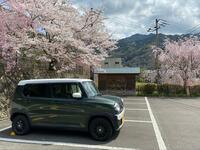 「キャンプ・登山・カヤック・車中泊」1台でイケる！ スズキ「ハスラー」万能シートアレンジと「巧い小技」とは！？ アウトドアでの「使いたおし」実践レポ