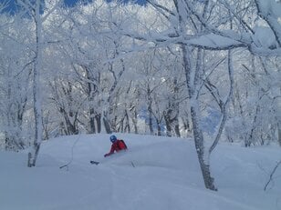「雪が降るほど楽しい！」豪雪地帯・新潟県のゲレンデパウダーが最高なローカルの“推し“「小規模・穴場」スキー場3選！ 2022シーズン