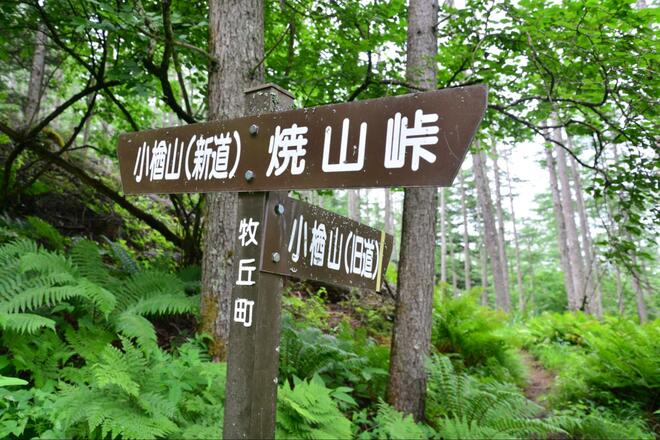 猛暑に行きたい避暑登山「小楢山」 標高1,526mの登山口から、爽快な高地山行！  暑さに根負け？  弱気なシニア女性のため計画＆実行！  結果とはの画像006