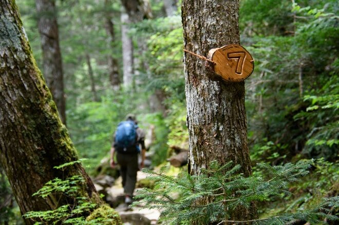 やっぱり “上高地” は泊まりの旅がいい！  明神・徳沢をめぐる『上高地さんぽ』  足を延ばしたからこそ味わえる「絶品グルメ＆優雅な山小屋時間」の画像012