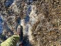 「足ならし」に「歩きごたえあり」往復3時間ハイキング！  眼前の「富士山」が雄大な「越前岳」レポート【静岡県裾野市】の画像002
