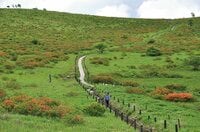 「霧ヶ峰」車山山頂では日本アルプス、八ヶ岳をひとり占め！ 天然記念物“八島湿原” 夏を彩るニッコウキスゲは見もの【首都圏発！週末に行ける百名山ガイド vol.9】