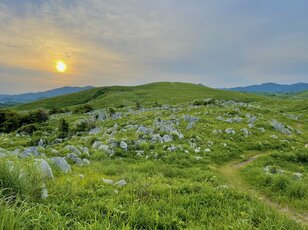 まるで「日本のスイス」！  広大な景色が広がる「四国・福岡・山口」の「日本三大カルスト」の魅力とは？
