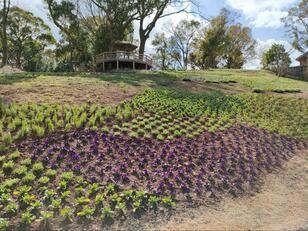 神木隆之介＆浜辺美波のNHK連続テレビ小説『らんまん』を先取り！  モデルの牧野富太郎博士を知る高知県「絶景の植物園」とは？
