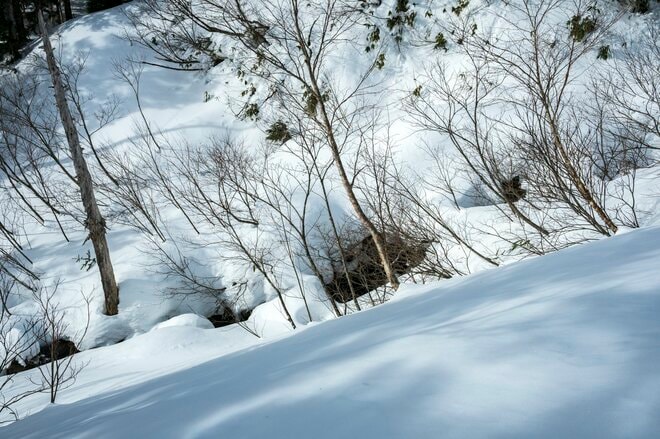 【バックカントリー】まずは足慣らし！  シーズン始めは道具のチェック、ゲレンデ滑走を入念に「シーズン始めに注意したいこと」 長野県｜2025年の画像004