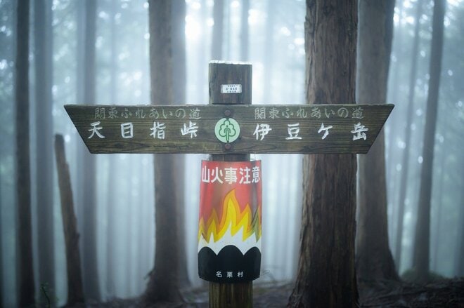 「初秋の飯能アルプス」霧に包まれた森で撮影を楽しむ【自然と写真を楽しむ日々 vol.3】の画像003
