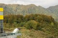 【2024年10月 第4週】今週末の紅葉の見ごろは？  名所＆人気スポットの最新情報をお届け「WEEKLY紅葉ニュース」の画像017