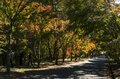 【3年連続】「全国No.1の紅葉スポット」鮮やかに染まる“もみじ湖”と“もみじのトンネル”《長野県・箕輪町》2022年の画像010