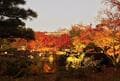 紅葉シーズンは一層の見ごたえあり！  世界遺産「姫路城」と「好古園」 澄みわたる秋空＆日没後はライトアップ！「絶景満喫の1日」の画像005