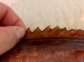 超便利！「切る・さばく・落とす」万能の「頑丈ハサミ」が釣り人の「最強ツール」である理由の画像004