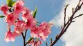 沖縄にはどれくらい山があるの？【素朴な疑問シリーズ】その４の画像002