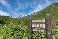 【初中級者向け・ロープウェイで行くベストルート vol.1】「つがいけロープウェイ」でアクセスできる山 ～北アルプス 小蓮華山・栂池自然園 編～の画像005