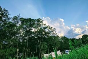 猛暑キャンプにはワークマン『クールシールドネオ冷感長袖クルーネック＆レギンス』！  最適スペック「接触冷感・UVカット」と「効果倍増グッズ」とは？