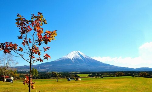 山梨のキャンプ場