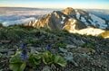 【登山】「雪渓にロープありません」人気ルートだけど要注意！  アイゼンとピッケルを用意して  北アルプス 白馬乗鞍岳／白馬岳 長野県｜2026年の画像003