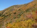 【特集 そこに山小屋を興して】北アルプス山小屋ヒストリー 第12回『冷池山荘・種池山荘・新越山荘』 鹿島槍ヶ岳や爺ヶ岳を登る拠点として、大切に守り続けた「人」「小屋」「道」の画像006
