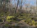 日本百名山＆世界遺産「大峰山」 国道309号線「冬季通行止め」解除で近畿最高峰「八経ヶ岳」へ！  弥山登山口から登山レポの画像002