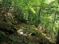 「大菩薩嶺」富士山を絶えず視界に入れての稜線歩きはこの山ならではの特権！【首都圏発！週末に行ける百名山ガイド vol.7】の画像004