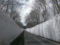 絶景の「雪壁ロード」春ドライブ！ 4月1日開通「八甲田・雪の回廊」へ「十和田湖から奥入瀬渓谷＆酸ヶ湯温泉」ルートレポ【青森県青森市・十和田市】の画像004