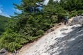 【首都圏近郊おすすめルート】金峰山へと続く幻の古道「御嶽道」が想像以上に素晴らしい！  実地踏査レポートの画像012