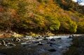 秋の渓流釣り！ 紅葉と清流のマッチングが美しい塩原温泉へ 「温泉に浸かり、“キャッチ＆リリースエリア” で紅に染まるニジマスを狙う」 【栃木県】2024年の画像003
