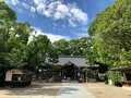 杭全神社の「杭全」はなんと読む！？  大クスノキが見守る神社の中心でカエルと「悪疫退散」を叫ぶ【関西おみくじジャーニー vol.14「杭全神社」／大阪市平野区】の画像002