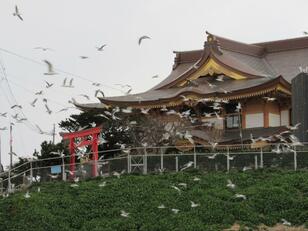 東北で「リアル名画」体験！？ 石造り「ハリー・ポッターの古城」＆ヒッチ・コック『鳥』再現「ウミネコ神社」まるで「映画のワンシーン」絶景レポ！ 三陸復興国立公園【青森県八戸市】