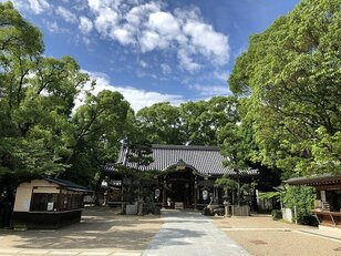 杭全神社の「杭全」はなんと読む！？  大クスノキが見守る神社の中心でカエルと「悪疫退散」を叫ぶ【関西おみくじジャーニー vol.14「杭全神社」／大阪市平野区】