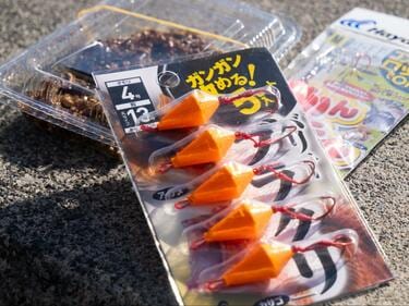 冬の釣り物に迷ったら「カサゴ」！ 初心者でも釣果が出やすく超